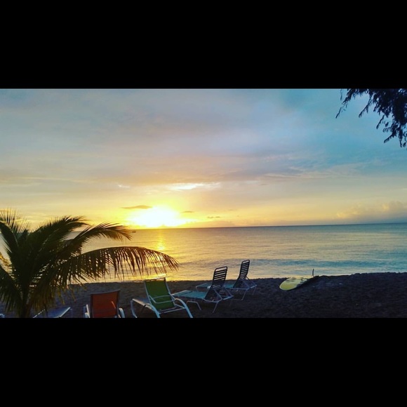 Meet your Posher, Carla - Picture 6 of 8